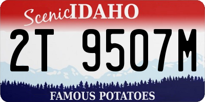 ID license plate 2T9507M