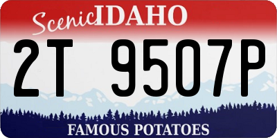 ID license plate 2T9507P
