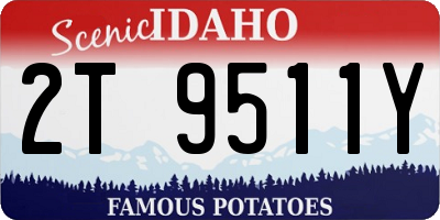 ID license plate 2T9511Y