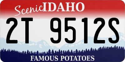 ID license plate 2T9512S