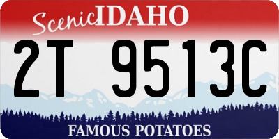 ID license plate 2T9513C