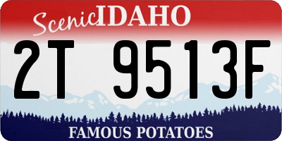 ID license plate 2T9513F