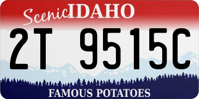 ID license plate 2T9515C