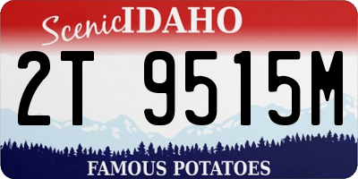 ID license plate 2T9515M