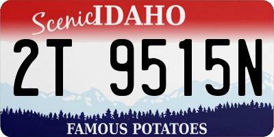 ID license plate 2T9515N