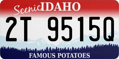 ID license plate 2T9515Q