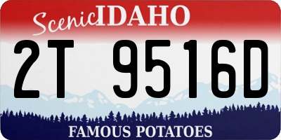 ID license plate 2T9516D