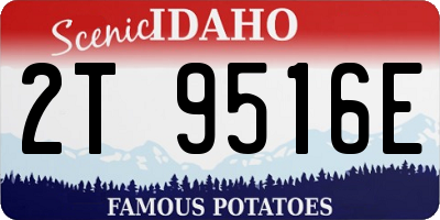 ID license plate 2T9516E