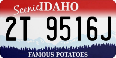 ID license plate 2T9516J