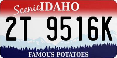 ID license plate 2T9516K