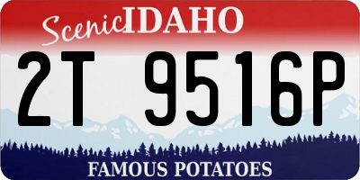 ID license plate 2T9516P