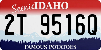 ID license plate 2T9516Q