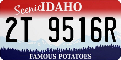 ID license plate 2T9516R