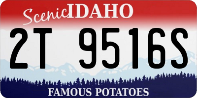 ID license plate 2T9516S
