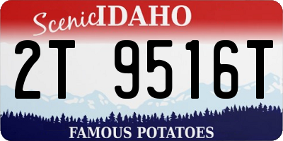 ID license plate 2T9516T