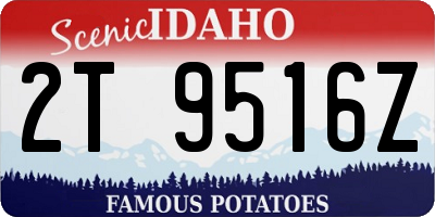 ID license plate 2T9516Z