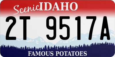 ID license plate 2T9517A