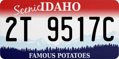 ID license plate 2T9517C