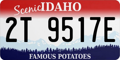 ID license plate 2T9517E