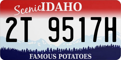 ID license plate 2T9517H