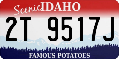 ID license plate 2T9517J