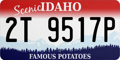 ID license plate 2T9517P
