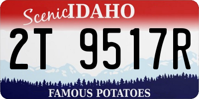 ID license plate 2T9517R