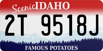 ID license plate 2T9518J