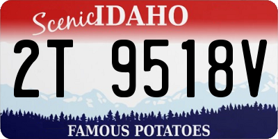 ID license plate 2T9518V