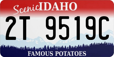 ID license plate 2T9519C
