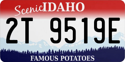 ID license plate 2T9519E