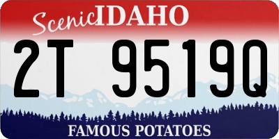 ID license plate 2T9519Q