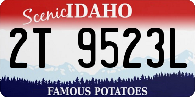 ID license plate 2T9523L