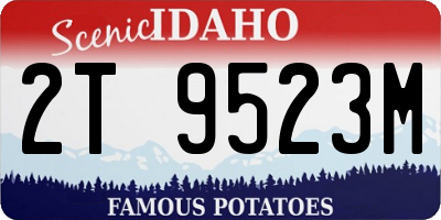 ID license plate 2T9523M