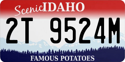 ID license plate 2T9524M