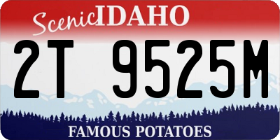 ID license plate 2T9525M