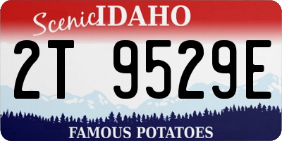 ID license plate 2T9529E