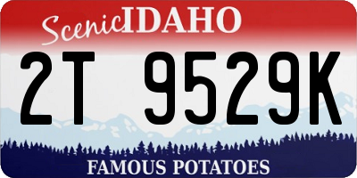 ID license plate 2T9529K