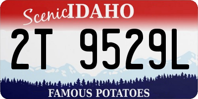 ID license plate 2T9529L