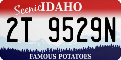 ID license plate 2T9529N