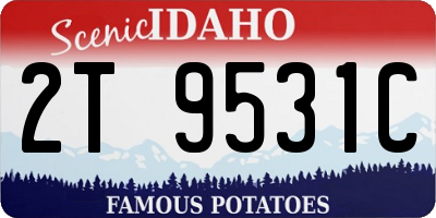 ID license plate 2T9531C