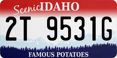 ID license plate 2T9531G