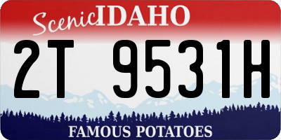ID license plate 2T9531H