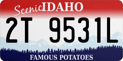 ID license plate 2T9531L