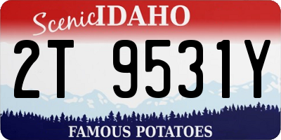 ID license plate 2T9531Y
