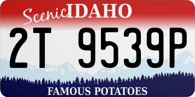 ID license plate 2T9539P