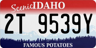 ID license plate 2T9539Y