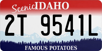 ID license plate 2T9541L