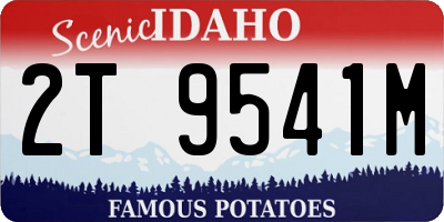 ID license plate 2T9541M