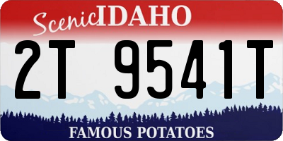 ID license plate 2T9541T